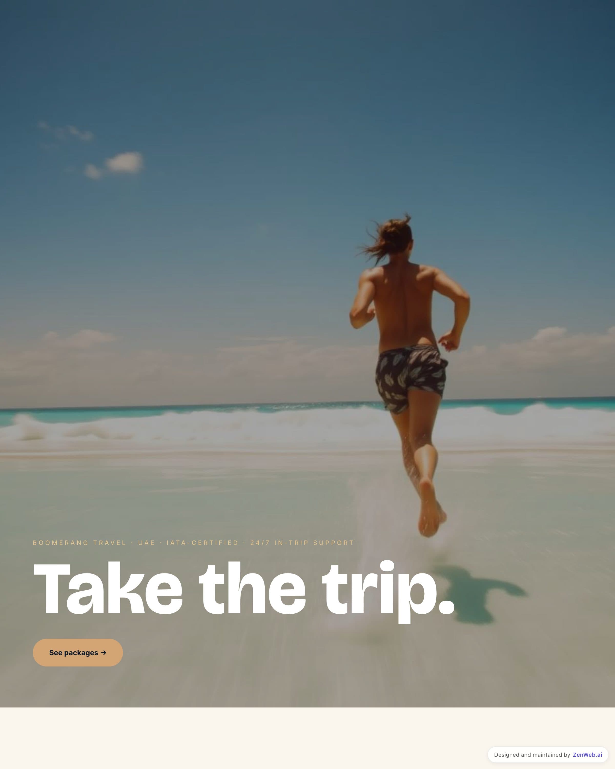Boomerang Travel template preview