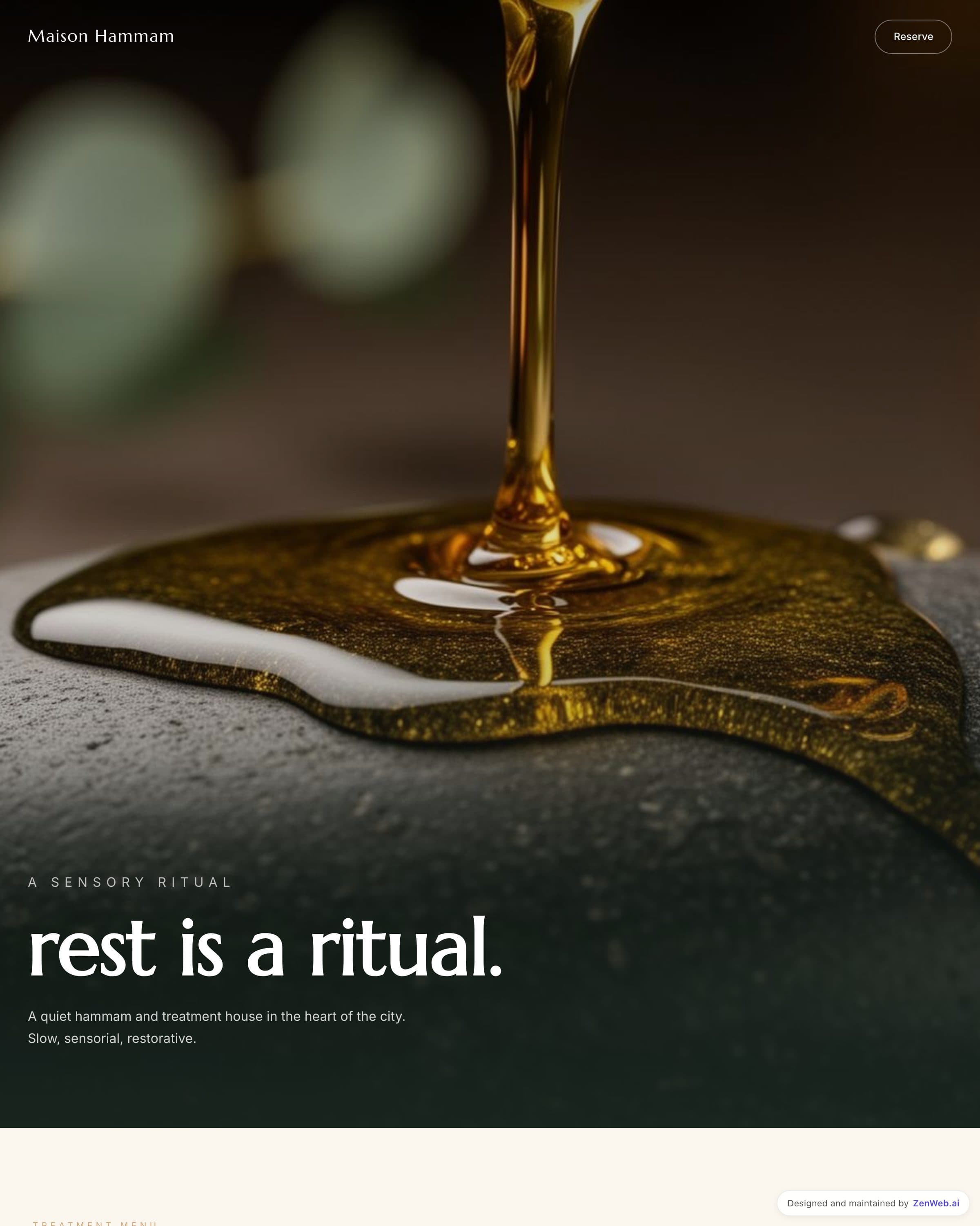 Hammam Spa template preview